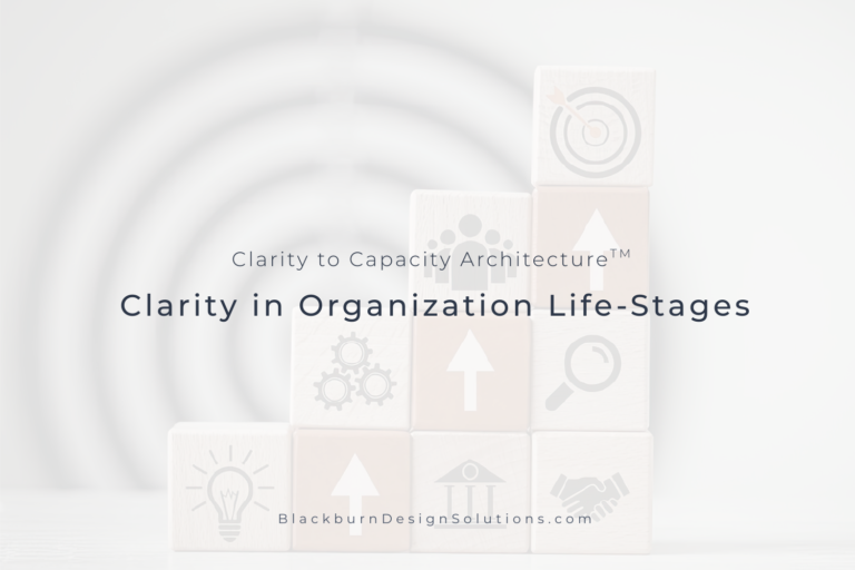 Clarity in Organization Life-Stages